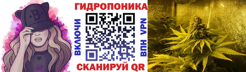 Codein Микунь