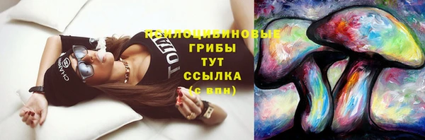 мяу мяу мука Алзамай