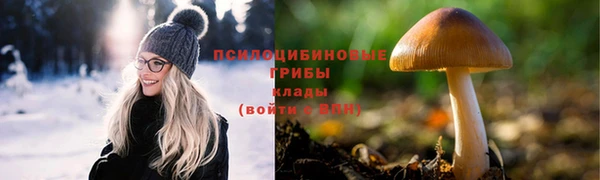 бошки Арсеньев