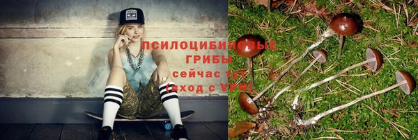 spice Армянск