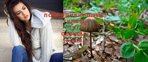MDMA Аркадак