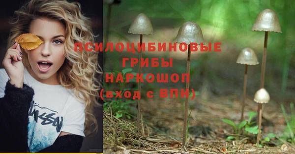 мяу мяу мука Алзамай