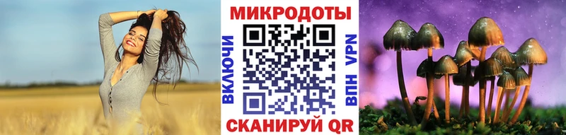 Галлюциногенные грибы Psilocybe  даркнет сайт  кракен зеркало  Микунь 